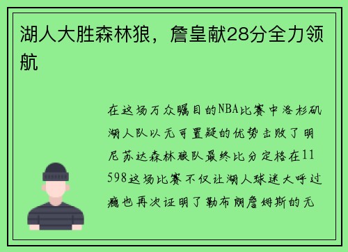 湖人大胜森林狼，詹皇献28分全力领航
